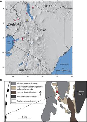 Reconstruction of the Early Miocene Critical Zone at Loperot, Southwestern Turkana, Kenya